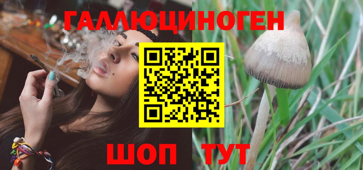 Галлюциногенные грибы прущие грибы  Вход с VPN  Белая Калитва  Псилоцибиновые грибы мицелий 